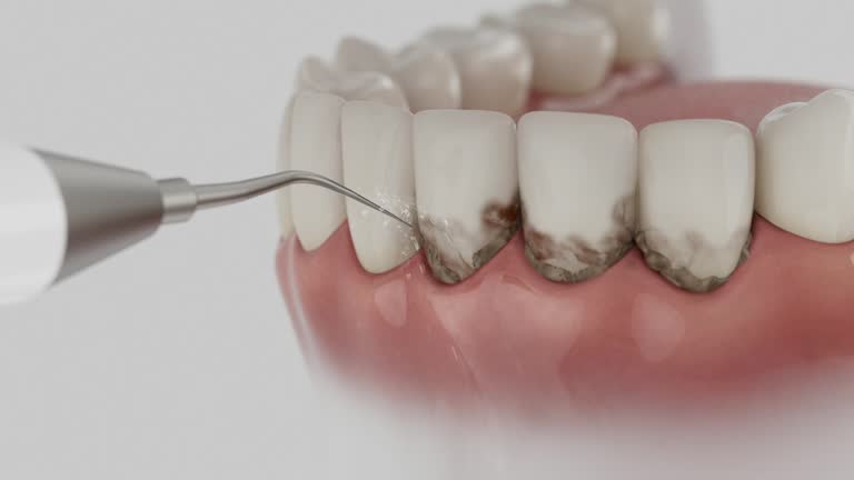 Reliable Dental contractor in Sandusky, OH by Dentist Open Now